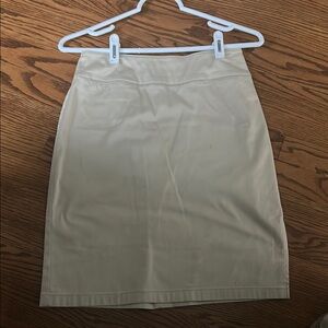 Ann Taylor Beige Knee-Length Pencil Stretch Skirt for Work